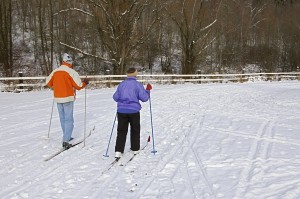 Two cross country skiers finding their way into the snowy open field.