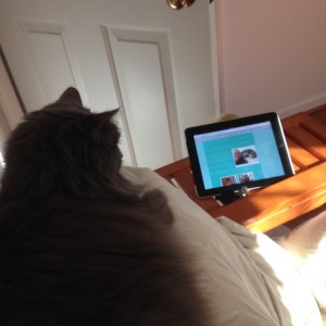 In photo. Wednesday is on the back of the couch. Over her shoulder, we see that she is looking at a computer screen. End photo.