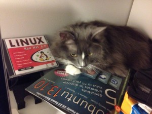 In photo. Wednesday is in the corner of computer desk curled up on a computer magazine and next to a CD case showing the word "Linux" on the cover. End photo.