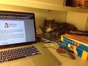 In photo. Wednesday is in the corner of computer desk curled up on a computer magazine. Also seen is a laptop computer and on its screen is a webpage showing a penguin and the word "Switch."  End photo.