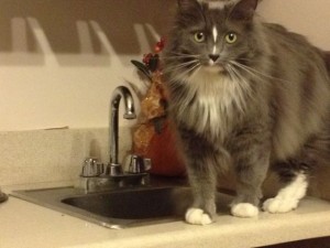In photo. Wednesday is looking directly at the viewer. She is next to a small sink with a tall hooked faucet.
