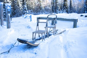 In photo. The is a simple design of two chairs in line on a wooden sled. The musher controls the dog from behind the passengers. End photo.
