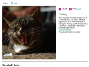 In photo. A portion of a web page about aggression in cats. Next to a picture of an growling cat, the following text appears: Do not approach the angry cat. Your cat is on the defensive. Use a synthetic version of feline facial pheromone. End photo.