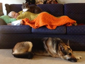 In photo. Marilee is napping on the couch. Holly is on Marilee. The dog is on the floor in front of the stacked couch nappers. End photo.