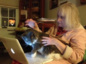 In photo. New short-staff has the laptop computer on her lap on the couch. Holly is on the new short-staff's lap and part of the keyboard. New short-staff is stroking Holly's side and has a hand raised poised to get her a gentle pat on the head. End photo.