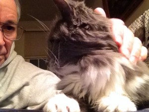 In photo. New tall-staff is petting Holly on the back of the neck. Holly appears attentive and relaxed during the conversation. End photo.