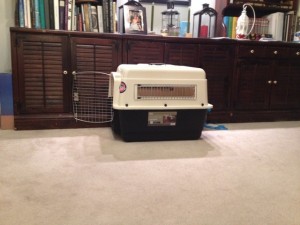 In photo. A large pet carrier is on the floor in front of a wall unit. End photo.