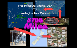 In photo. A collage comprised of two maps showing the route from east coast to west coast to New Zealand. Then a photo of Wednesday looking through the bars on her cage. Finally an aerial view of her new neighborhood in New Zealand. End photo.