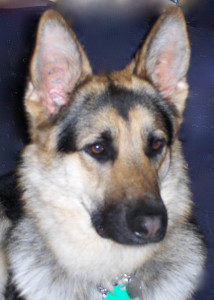 2015_Christmas_Ltr_photo-0