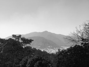 The photo can be imagined in three sections. The sky at the very top is gray but becomes brighter as it goes down in the scene. When it reaches the mountain peak in the center of the scene, it is very bright which sets off the light gray mountain. In the final third of the photo, the gray mountain give way to the dark and near stand of trees in the foreground. End photo.