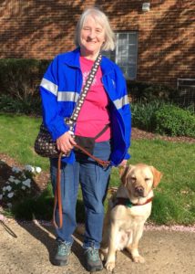In photo. Marilee and stop for photo op along a sidewalk. Ryder is a 2 year old 50 pound yellow labrador retriever. Marilee is holding Ryder's leash as he sits at her left side for the camera. End photo. 