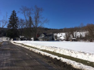 In photo the road is muddy but the field is completely covered with a few inches of ski-able snow.