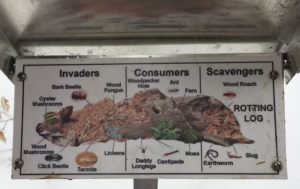 In photo. We see the rotting log and how it will be recycled or reclaimed by nature. The titles visible are Invaders. Consumers. Scavengers. Out of photo.