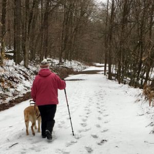 In photo. Marilee and Ryder hike on the logging road to the falls. Out of photo.
