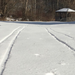 In photo - Cross country ski tracks in the snow on the soccer field made by Ed and none other than the Queen of the Mountain Louise. Out of photo.