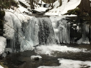 In photo -- The Falls Road falls. If the falls had eyes, the photographer and the falls would be "eyeball to eyeball" since the photographer was in the basin of the falls but on a little spit of shoreline. Out of photo.