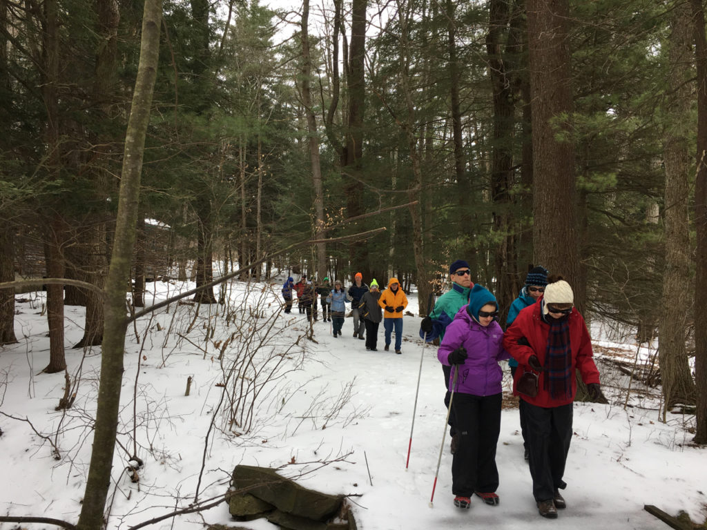 In photo -- Hikers of the magic woods on the initial portion of the trail where it crosses a wooden bridge. Out of photo.