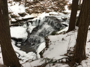 In photo -- The waterfalls at the top of the logging road as seen from the top of the ridge just as the steps begin down to the basin. The falls are not frozen but there are plenty of icicles on the edge rock. Out of photo.