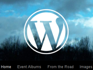Button: Wordpress graphic
