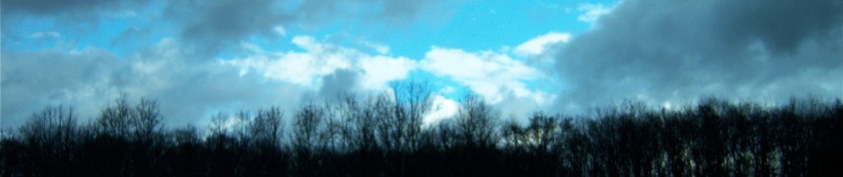 The vista is a multi-layered cloudy ski with shades of blue from almost white to a deep midnight blue. Against this sky are the silhouettes of trees of various heights in the center giving way to the outline of low mountains to the left and right.