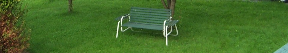 Shirley's empty lawn glider from her last house.