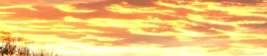 Low hanging cloud cover reflects a stunning sunset in rich gold tones, bright yellow, and a hint of pink all above a stand of trees in Fredericksburg, Virginia.