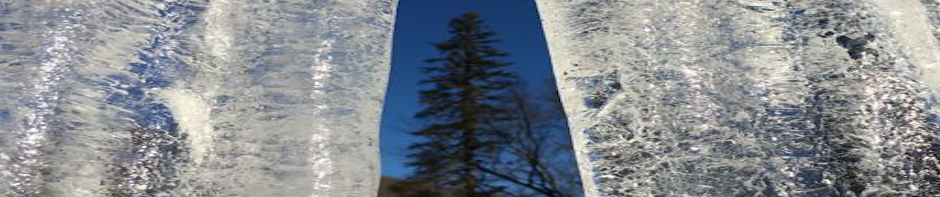 In photo a single pine tree is seen in a gap between two icicles.