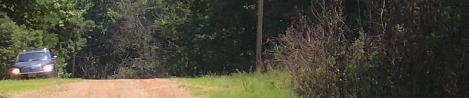 In Photo: My car faces the camera on the side of the dirt road that is in front of the property told about in the blog post. Out of photo.