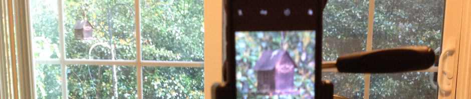 In photo. A distant bird feeder is seen through a window. Then a screen of an iPhone is seen on a tripod with a close-up of the same bird feeder. Out of photo.