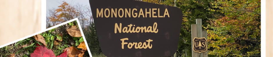 Page banner showing the U.S. Forest Service sign with the words: Monongahela National Forest.