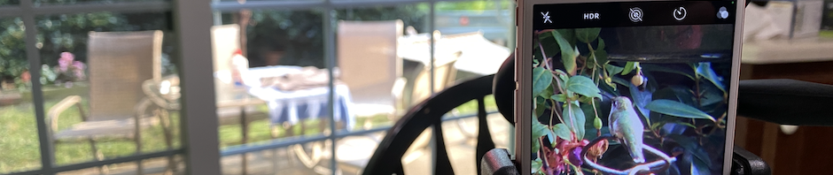 In photo. An iPhone mounted on a tripod on a table in the kitchen pointed out the window. The screen of the iPhone shows a bird perched on a branch in the backyard. A sort of how-to photo for bird watching and photography. Out of photo.