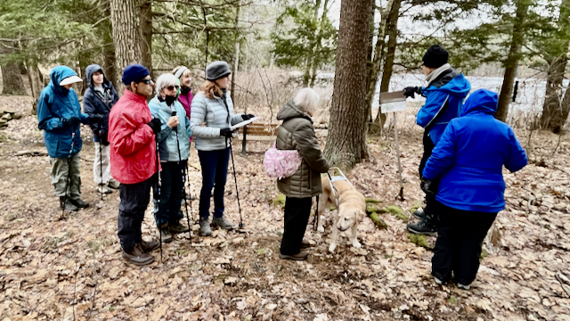 In photo we see hikers and guides. One of the guides is a dog named Ryder. The other guides are human. The trail is void of snow. JoAnn is reading one of the "lift and learn" markers to the gathered hikers. Ryder seems disinterested. Out of photo.